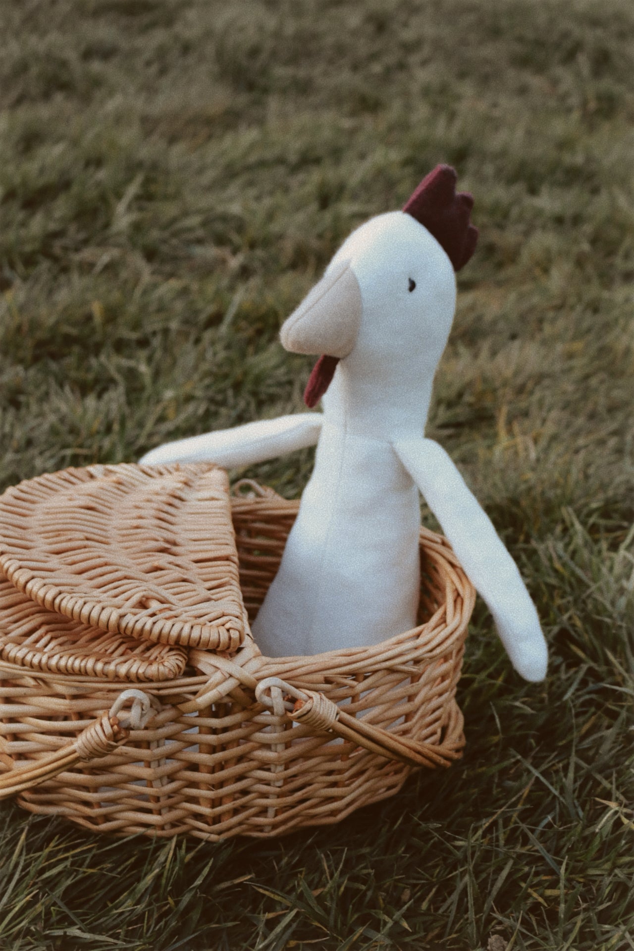 Clarence the Chicken (Peace + Love)